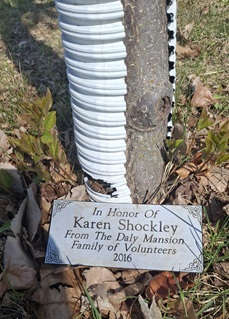 The plaque for a tree planted in memory of Karen by the Daly Mansion